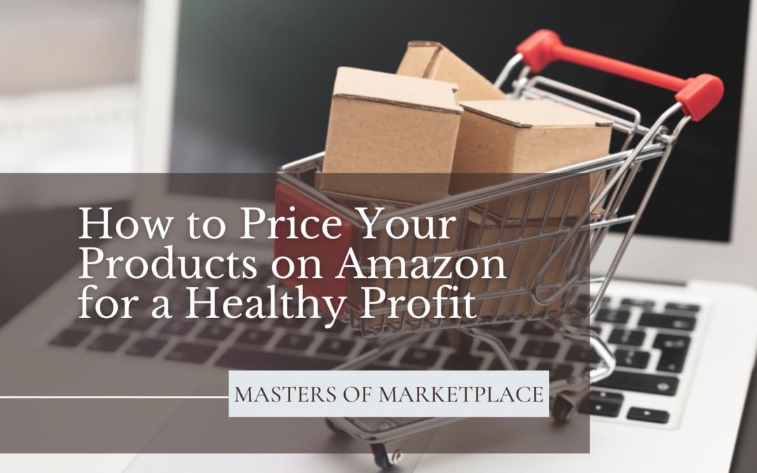 How to Price Your Products on Amazon for a Healthy Profit